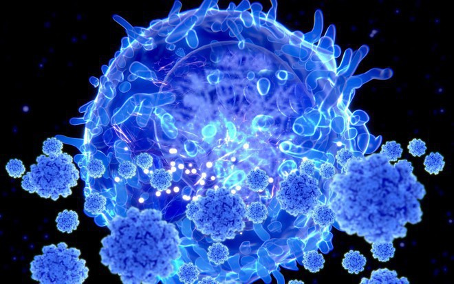 Bộ Y tế: Việt Nam chưa ghi nhận F0 nhiễm biến chủng Omicron