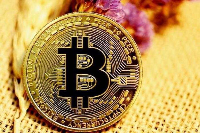 Giá Bitcoin hôm nay 8/2: Bitcoin thăng hoa, vượt 44.000 USD