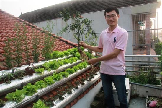 Chàng trai xứ Nghệ: “Tôi sẽ phủ xanh thành phố bằng rau sạch”