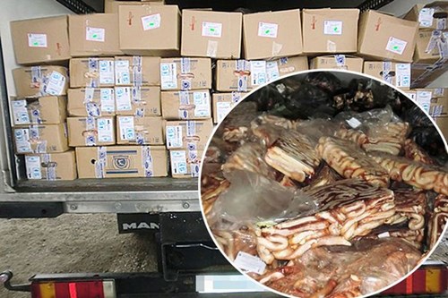 Bắt cả xe tải pín bò lậu ở Nga