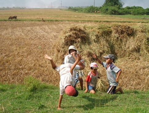 Cha mẹ chính là thủ phạm đánh cắp mùa hè tuyệt vời của con trẻ