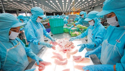 Phản đối Mỹ áp thuế phi lý với cá tra Việt Nam