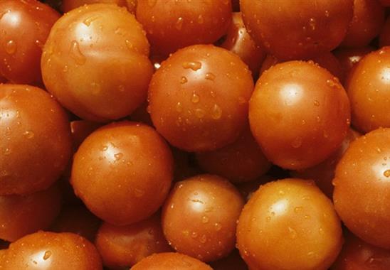 Nga báo thù, các nhà xuất khẩu Thổ Nhĩ Kỳ nguy cơ phá sản