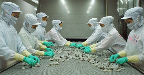 Cân bằng cán cân thương mại Nga - Việt