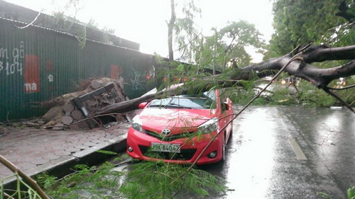 Hà Nội: Hàng trăm cây gãy đổ, ít nhất 5 người thương vong