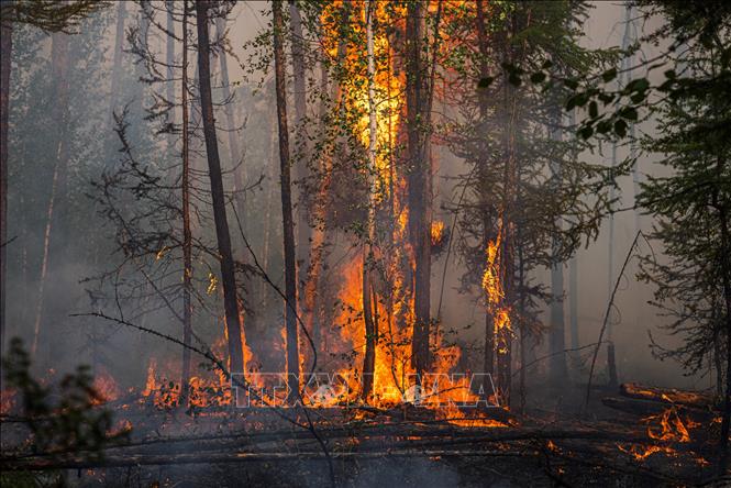 Hiểm họa tiềm ẩn khi 'giặc lửa' càn quét vùng Siberia băng giá