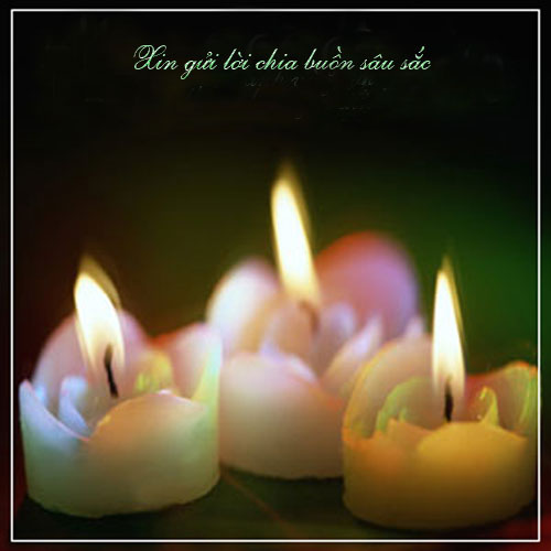 Điện chia buồn của TV Quốc Phòng VN tại LB Nga với gia đình ông Vũ Xuân Bảo