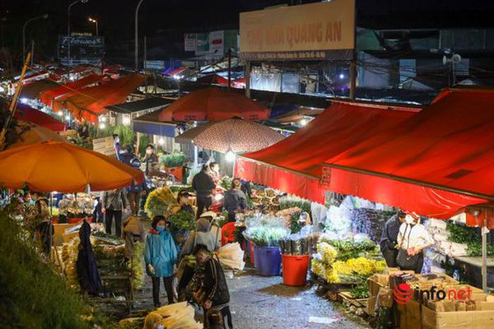 Chợ hoa lớn nhất Hà Nội đông nghẹt khách từ tờ mờ sáng