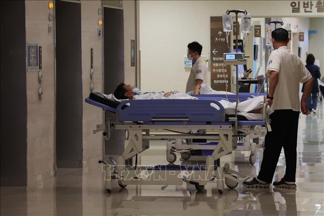 Hàn Quốc: Các giáo sư y khoa tiếp tục đình công