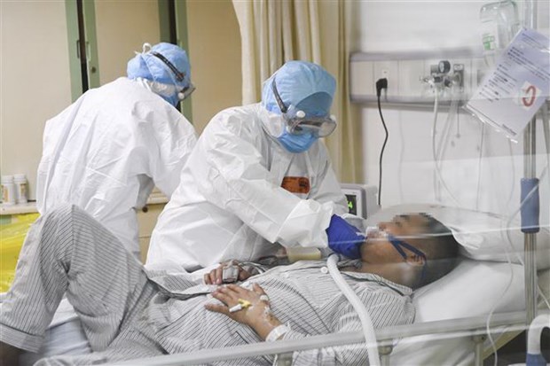 Nga: Chưa đủ thông tin khẳng định nCoV chỉ lây nhiễm giữa người gốc Á
