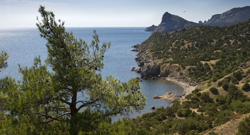 Sau 10 năm sẽ có Thế vận hội ở Crimea