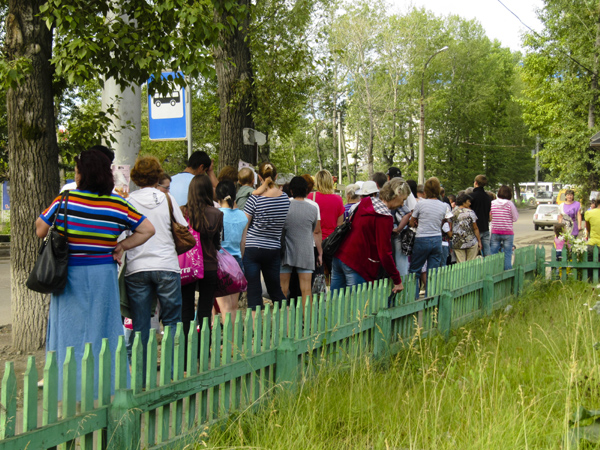 Theo chân DHS Việt tại Nga đi thu hoạch rau quả ở “dacha”