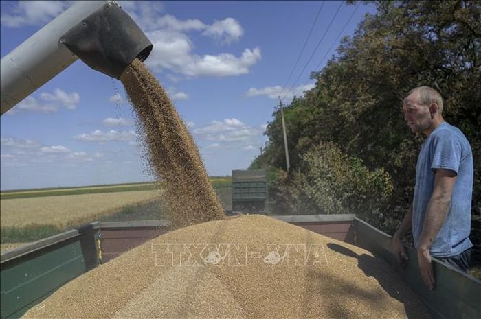 Năm 2022, thâm hụt ngân sách của Ukraine lên tới 24,9 tỷ USD