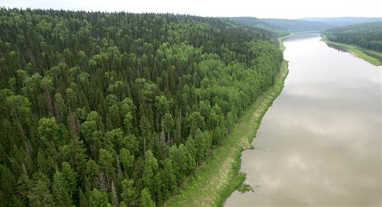 Cho Trung Quốc thuê đất: Nga thiệt hại hàng chục triệu Rúp