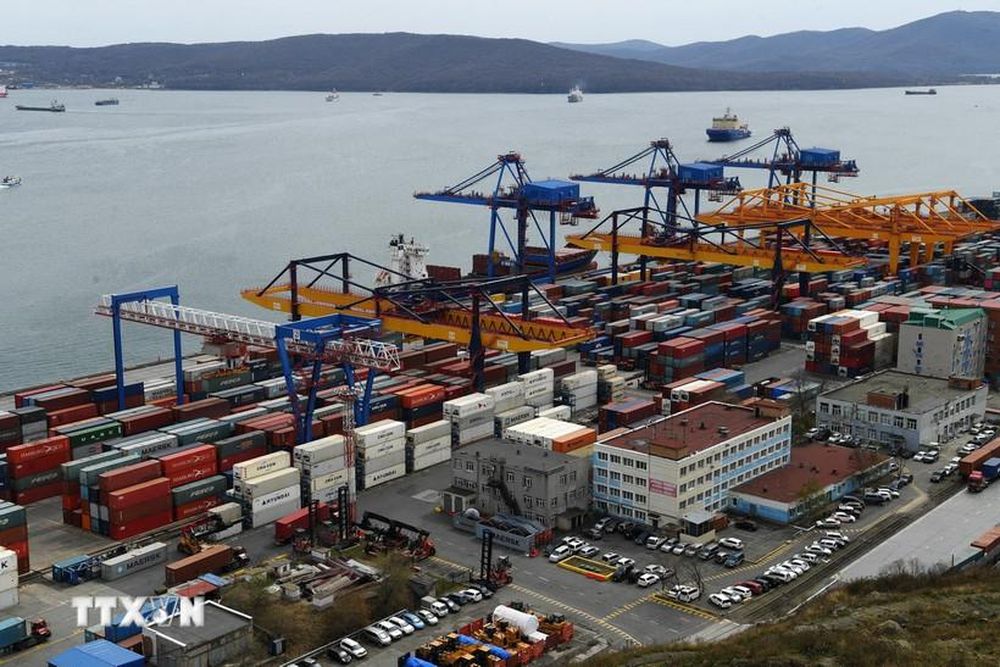 Nga tạm dừng áp thuế xuất khẩu đối với dầu hướng dương