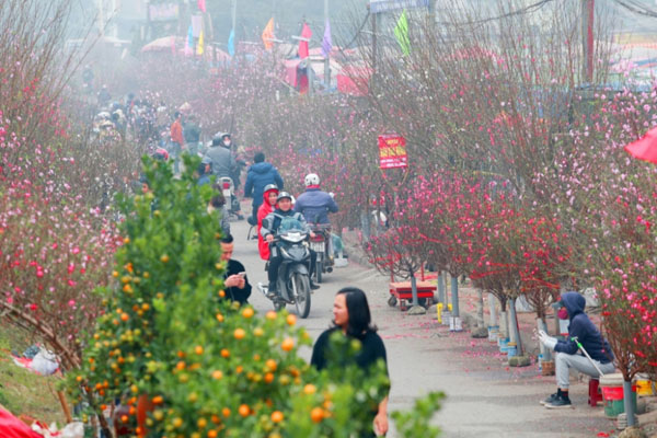 Thời tiết từ nay đến ngày mùng 7 Tết Kỷ Hợi thế nào?