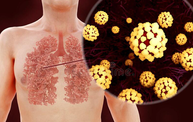 Infographic: Đây là cách virus Covid-19 tàn phá cơ thể người