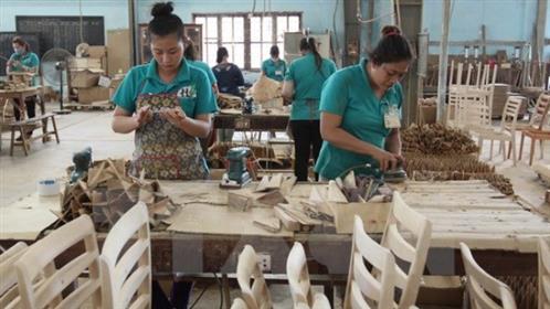 Doanh nghiệp Việt Nam tại Nga: Khó khăn và cơ hội