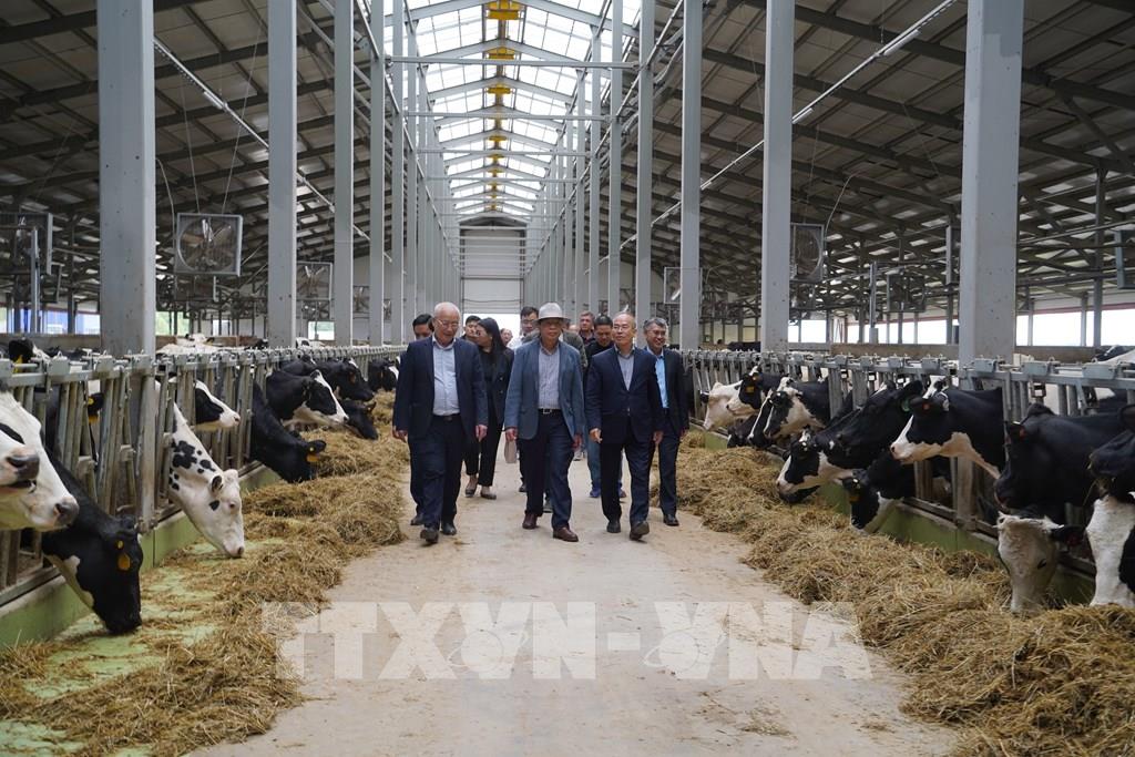 TH true MILK nỗ lực hoàn thành dự án tại LB Nga theo đúng kế hoạch