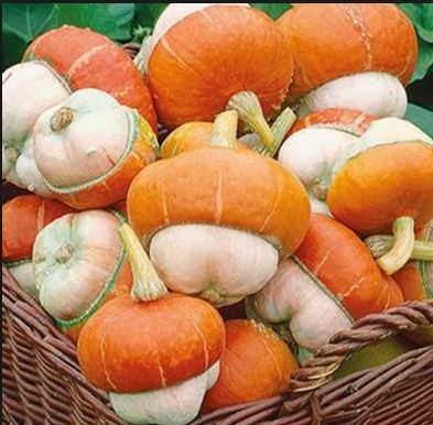 Độc đáo bí đội nón Nga khiến dân Việt phát cuồng