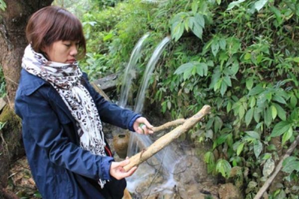 Dòng suối biến cây thành đá giá triệu đô