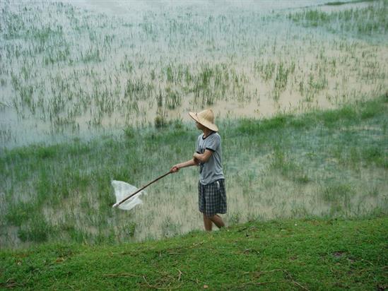 Chàng trai 8X sở hữu tập đoàn BĐS nghìn tỷ vốn chỉ là anh nông dân chăn vịt