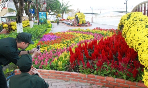 Đường hoa 17 tỷ đồng khoe hương đón Tết