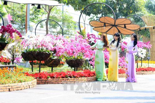 Miền Bắc ngày nắng, nhiệt tăng dần trong dịp nghỉ Tết