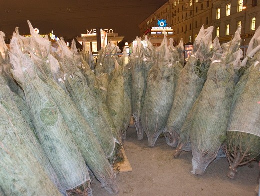 Tin vắn Moskva 19-12