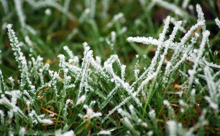 Dự báo: Thời tiết ở Nga khá lạnh trong đầu mùa hè năm nay