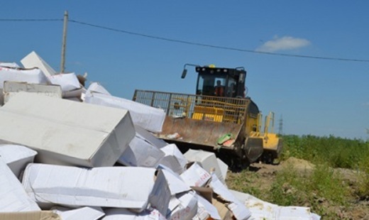 Nga tiếp tục tiêu hủy hàng chục tấn phô-mai và hoa quả xuất xứ châu Âu