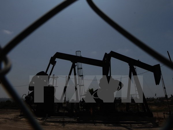 Giá dầu tăng mạnh trước báo cáo dự trữ năng lượng của Mỹ