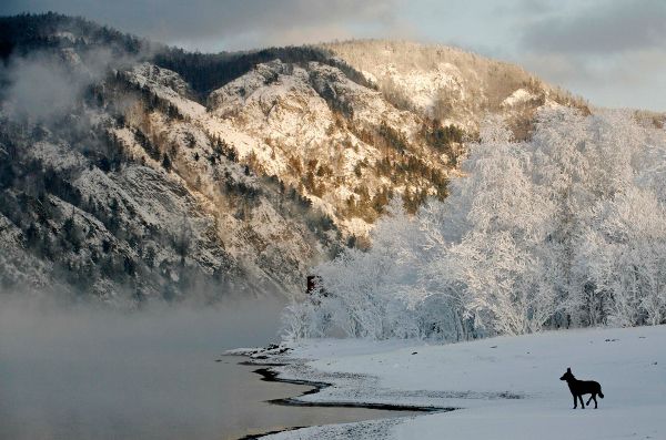 Cuộc sống bên dòng sông Yenisei, vùng Siberia