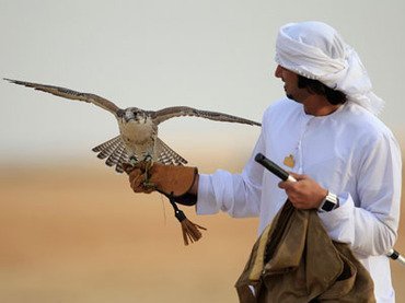 Nga - Ảrập Xê-út trục trặc vì chim