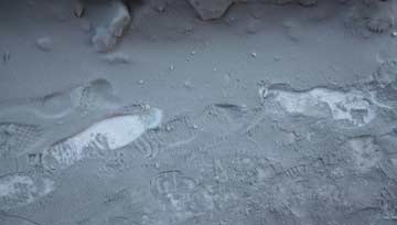 Tuyết đen rơi ở Nga