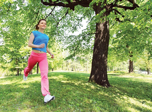 Năm 2013, Thần Nông sẽ gặt hái được những kết quả mỹ mãn