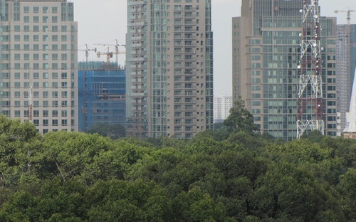 Doanh nghiệp địa ốc “chơi bài ngửa”