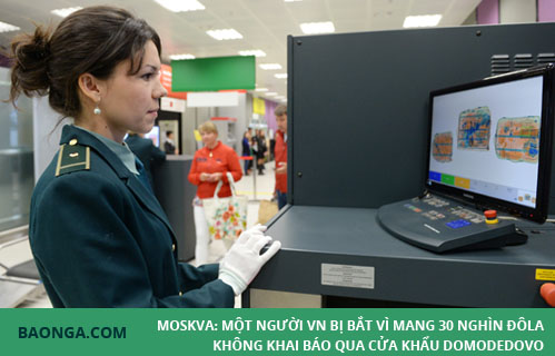 Moskva: Một người VN bị bắt vì mang 30 nghìn đôla không khai báo qua cửa khẩu Domodedovo