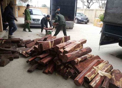 Hàng không lại bỏ lọt 1.500kg gỗ lậu sau lô 229kg heroin