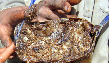 Giám đốc Cơ quan Liên bang Nga về phòng chống ma túy: Dòng chảy heroin sang Nga tăng 50%