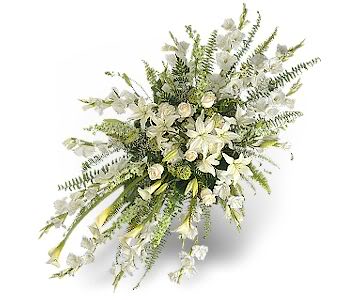 Lời cảm ơn (21/9/2014)