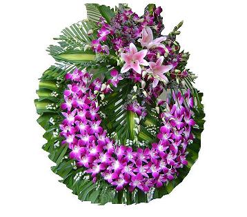 Lời cảm tạ gia đình cháu Đinh Đức