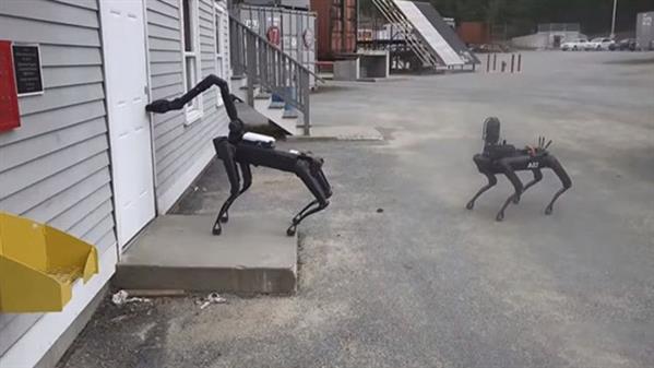 Robot cảnh khuyển gây lo ngại ở Mỹ