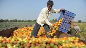 Nga dỡ cấm vận nông sản từ 3 nước EU?