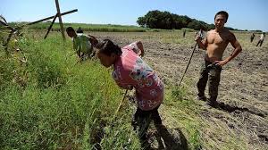 Người Nga phản đối Trung Quốc thuê đất