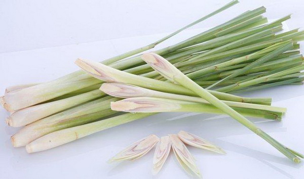 Bất ngờ với tác dụng thần kì của cây sả