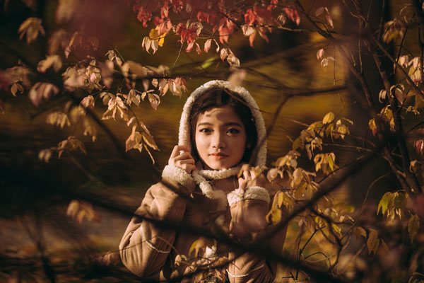 Bụi Hoàng liên dại