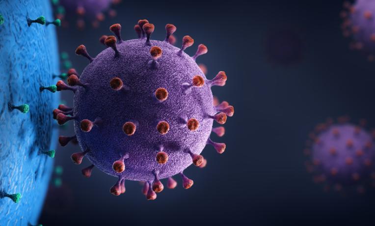 WHO bác thông tin về virus lạ ở Nga