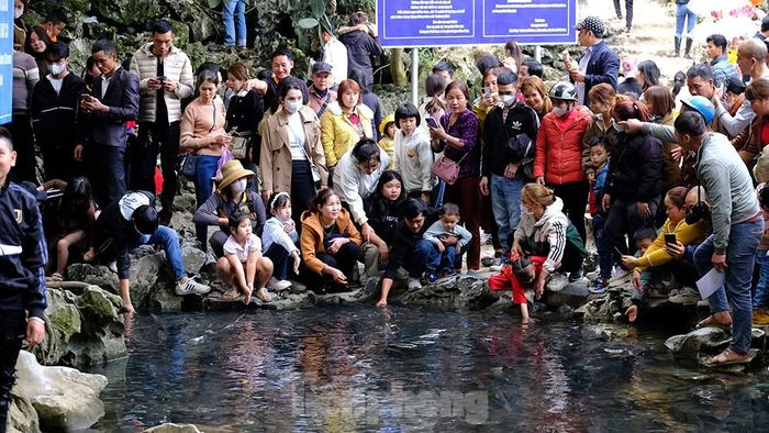 Khách quốc tế đến Việt Nam tăng mạnh dịp Tết Nguyên đán