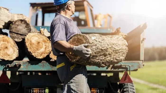 Người dân châu Âu trở lại sưởi ấm bằng củi vì giá khí đốt cao